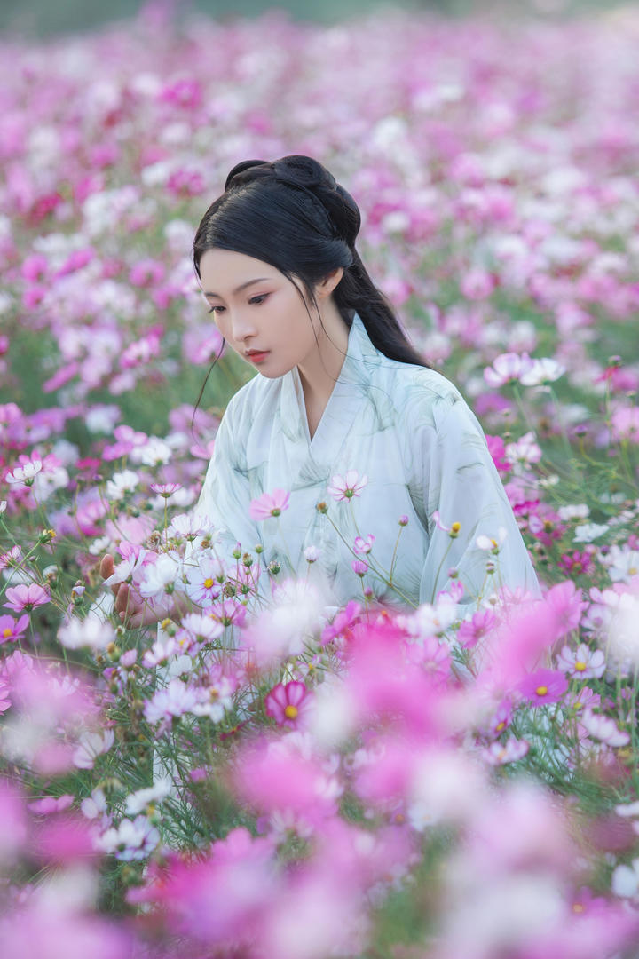 杨子黄圣依签约留几手持股公司
